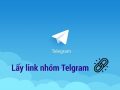 cách lấy link nhóm telegram