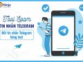 Spam tin nhắn telegram